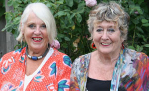 Double Trouble books