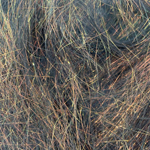 Shimmering Copper Fire NEW