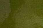 Dark Green (P)