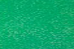 Light Green (41)