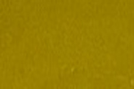 Mustard Yellow/Senfgelb (P)